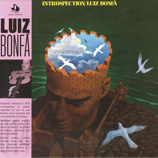 Introspection - Vinyl LP vinyl record cover
