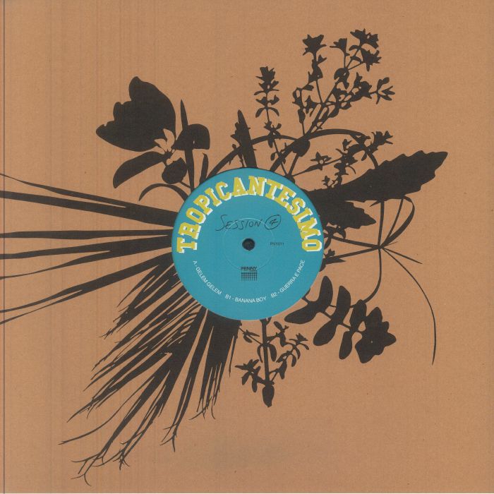 Session 4 - Vinyl LP vinyl record cover