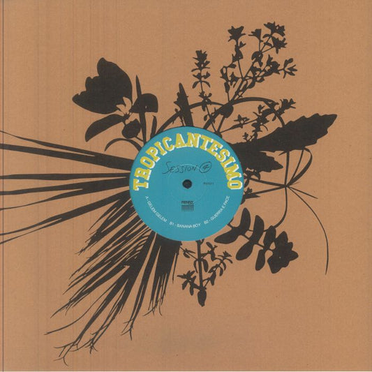 Session 4 - Vinyl LP vinyl record cover