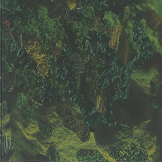 20 Ans La Foret Des Mal-aimes - Limited Edition Green Vinyl 5xLP Box Set vinyl record cover
