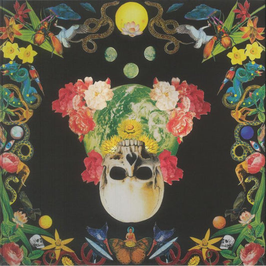 Helichrysum - Limited Edition Magenta And Yellow Vinyl LP vinyl record cover