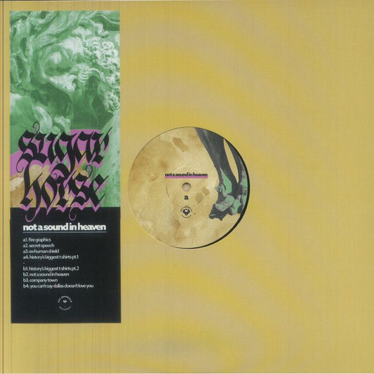 Not A Sound In Heaven - Vinyl LP vinyl record cover