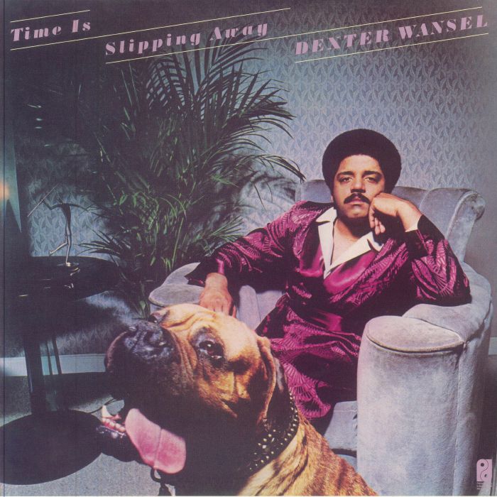 Time Is Slipping Away - Limited Edition Blue Vinyl LP vinyl record cover