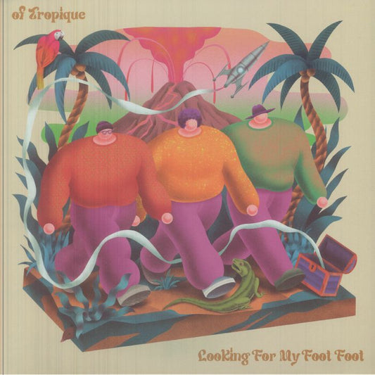 Looking For My Foot Foot - Vinyl LP vinyl record cover