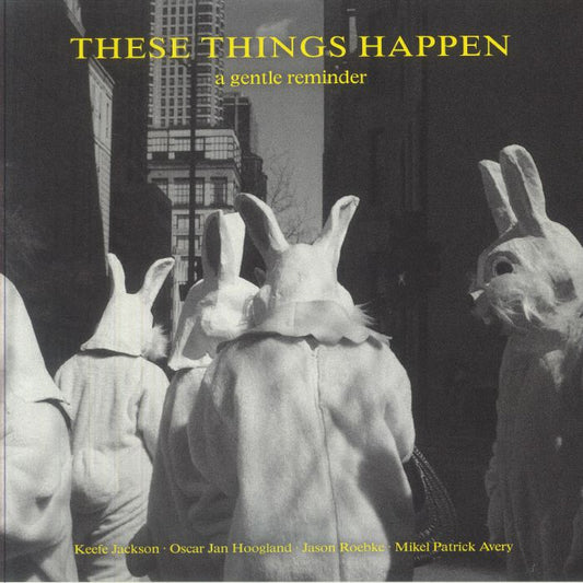 A Gentle Reminder - Vinyl LP vinyl record cover