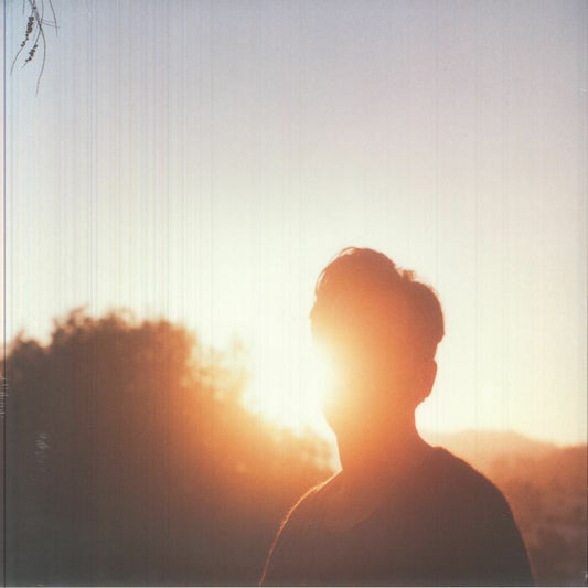 In The Last Hour Of Light - Limited Edition Iridescent Gold Vinyl LP vinyl record cover