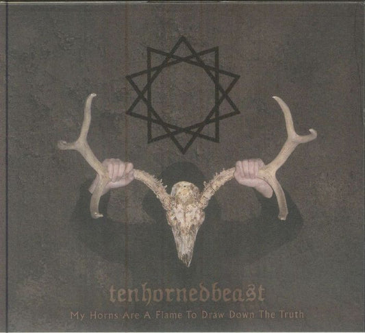 My Horns Are A Flame To Draw Down The Truth - Digipak CD CD cover