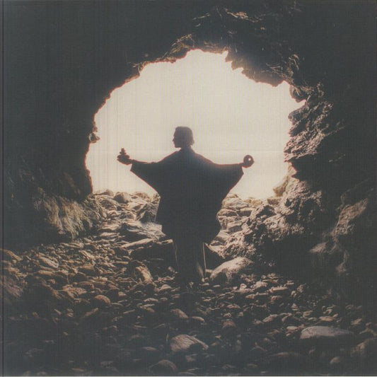 Lithic - Vinyl LP vinyl record cover