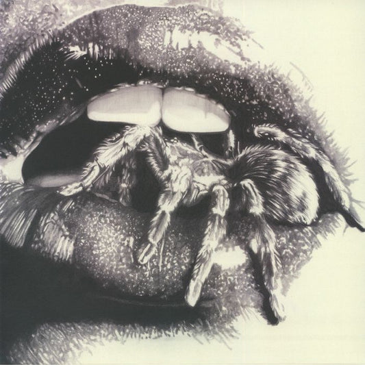 Let The Spiders In - White Marbled Vinyl LP vinyl record cover