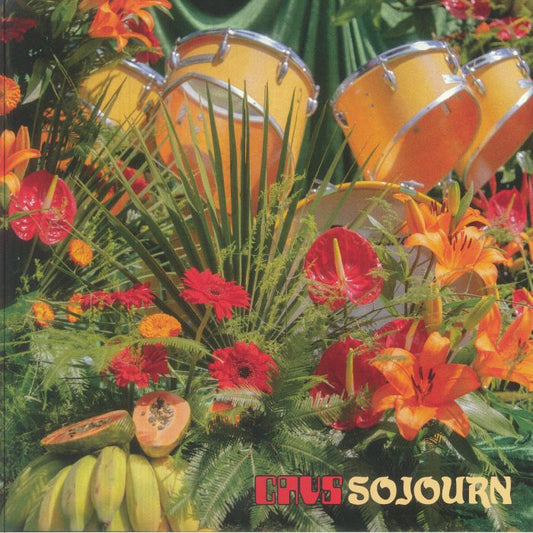 Sojourn - Clear Orange Vinyl LP vinyl record cover