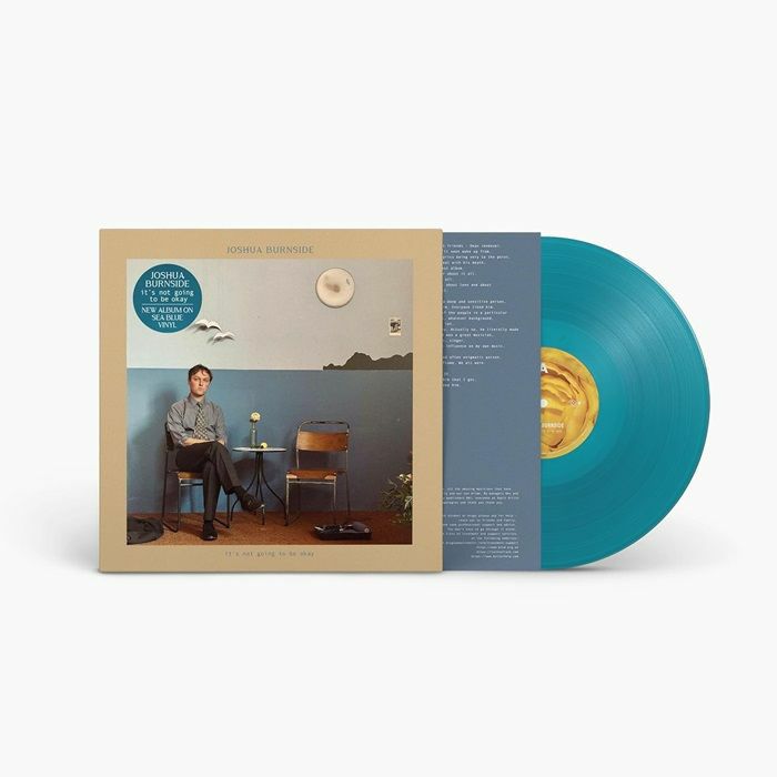 It's Not Going To Be Okay - Sea Blue Vinyl LP vinyl record cover