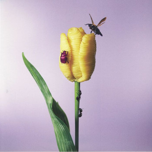 Oishii Pasta Ga Aru To Kiite - Coloured 2xLP vinyl record cover