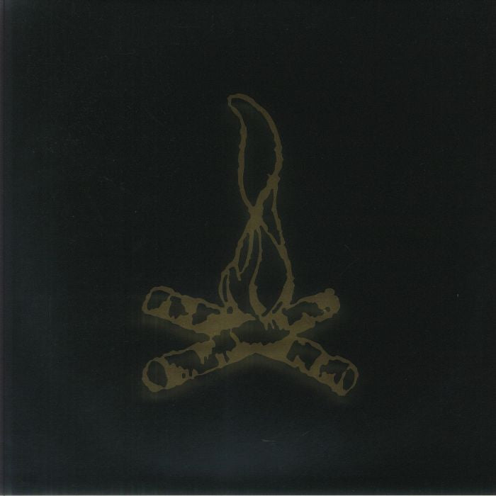 Campfire Punkrock Twenty - Vinyl LP vinyl record cover