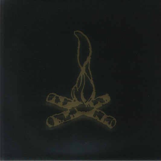 Campfire Punkrock Twenty - Vinyl LP vinyl record cover