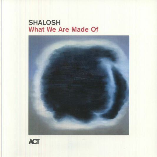 What We Are Made Of - Vinyl LP vinyl record cover