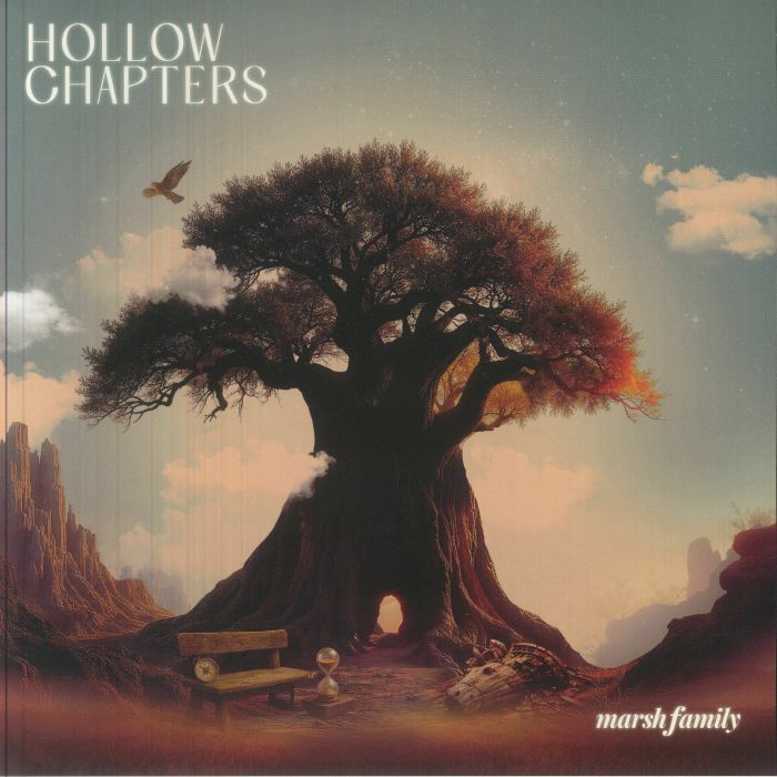 Hollow Chapters - Vinyl LP vinyl record cover
