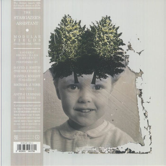 Modular Fields Vol 1 - Limited Edition 2xLP vinyl record cover
