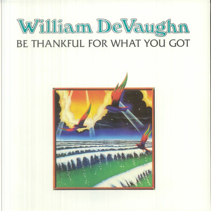 Be Thankful For What You Got - Vinyl LP vinyl record cover