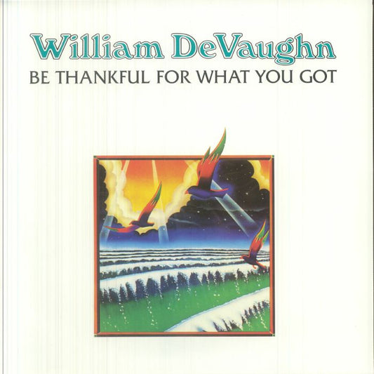 Be Thankful For What You Got - Vinyl LP vinyl record cover