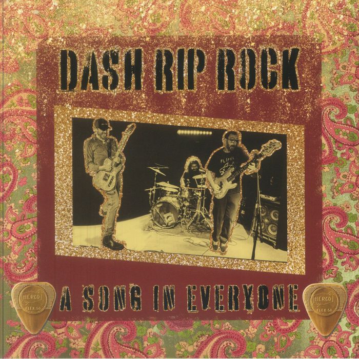 A Song In Everyone - Vinyl LP vinyl record cover