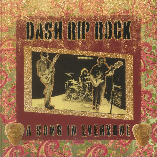 A Song In Everyone - Vinyl LP vinyl record cover