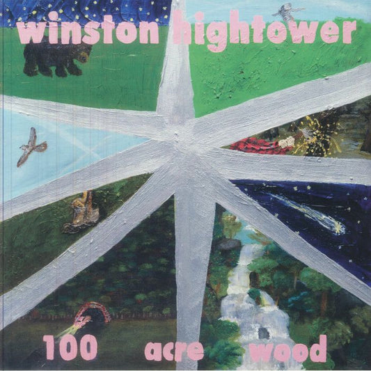 100 Acre Wood - Vinyl LP vinyl record cover