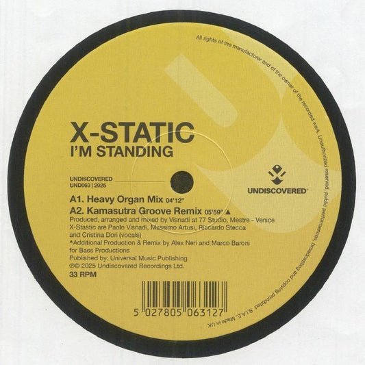 I'm Standing - Vinyl Single vinyl record cover