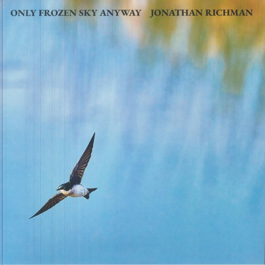 Only Frozen Sky Anyway - Vinyl LP vinyl record cover