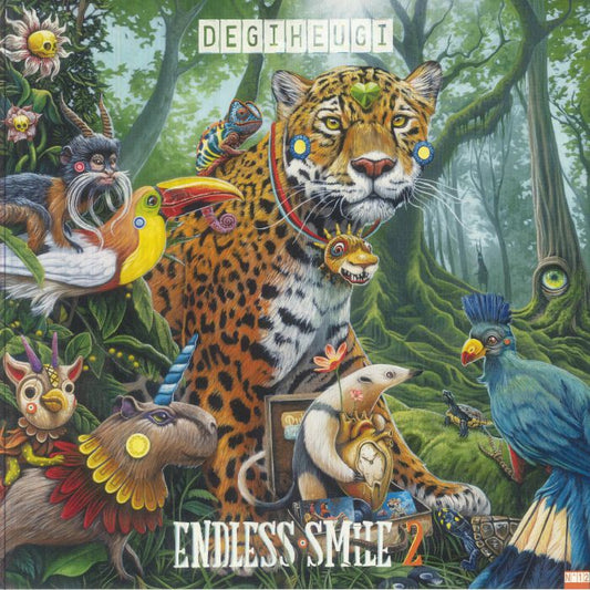 Endless Smile 2 - 2xLP vinyl record cover
