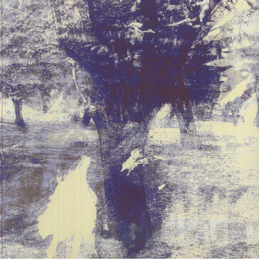 Homecoming - Vinyl LP vinyl record cover