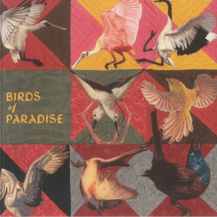Birds Of Paradise - Roseate Spoonbill Pink Vinyl LP vinyl record cover