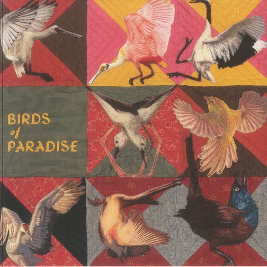 Birds Of Paradise - Roseate Spoonbill Pink Vinyl LP vinyl record cover