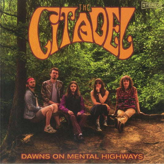 Dawns On Mental Highways - Vinyl LP vinyl record cover