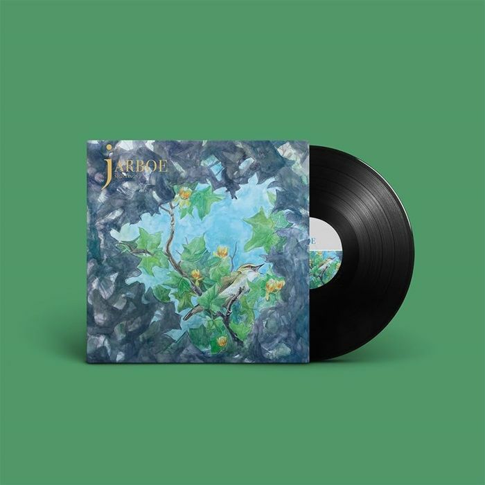 Sightings - Vinyl LP vinyl record cover