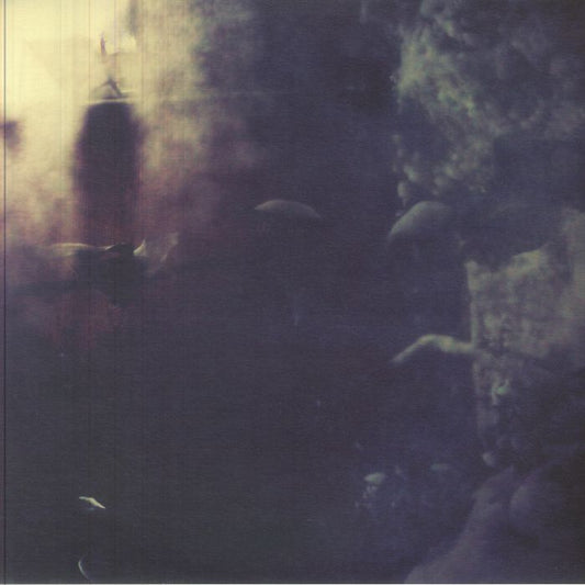 Whispers Of Danger - Vinyl LP vinyl record cover