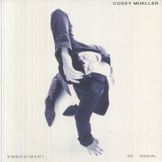Embodiment Of Denial - Vinyl LP vinyl record cover