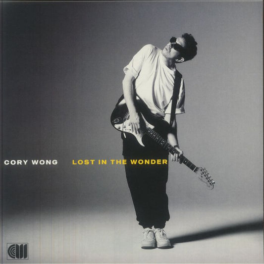 Lost In The Wonder - Vinyl LP vinyl record cover