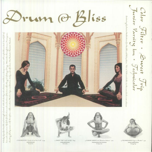 Drum & Bliss - Limited Marijuana Vinyl 12 Inch vinyl record cover