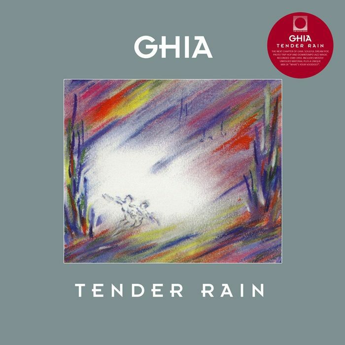 Tender Rain - Vinyl LP vinyl record cover