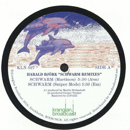 Schwarm Remixes - Vinyl Single vinyl record cover