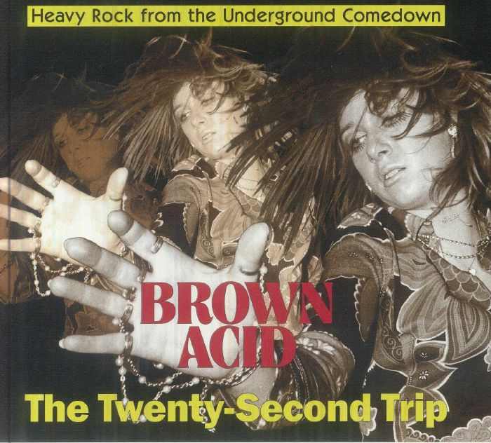 Brown Acid: The Twenty Second Trip - CD CD cover