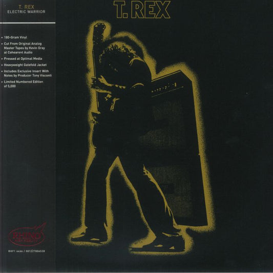 Electric Warrior (Rhino High Fidelity Edition) - Vinyl LP vinyl record cover