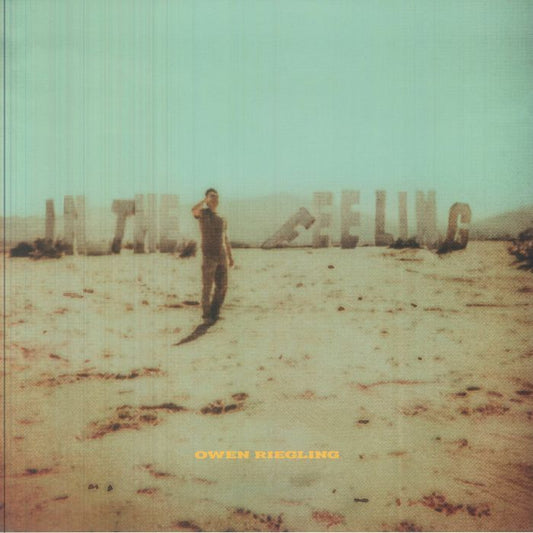 In The Feeling - Vinyl LP vinyl record cover