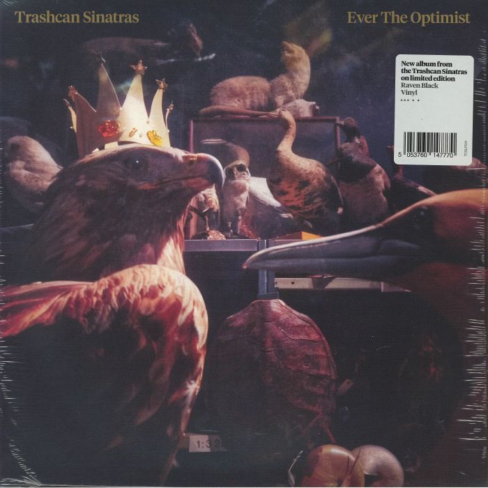 Ever The Optimist - Vinyl LP vinyl record cover