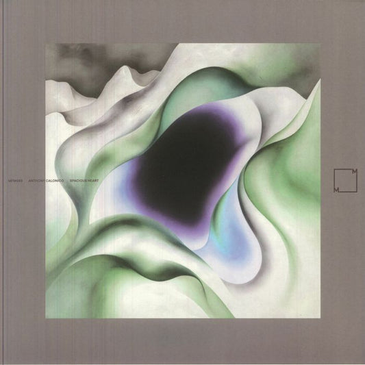 Spacious Heart - Vinyl LP vinyl record cover