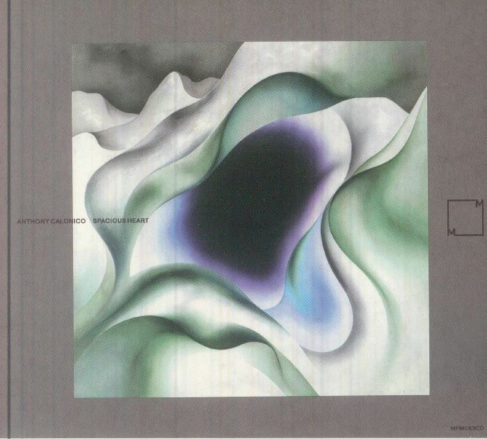 Spacious Heart - CD CD cover