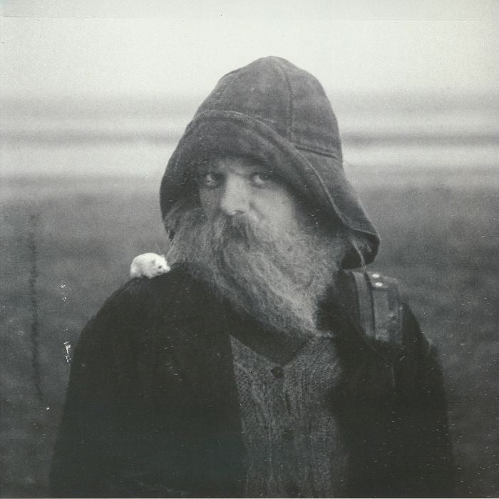 Role Model Hermit - Gatefold Vinyl LP vinyl record cover