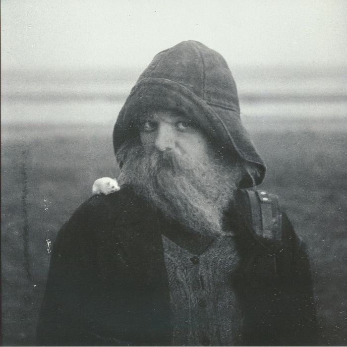 Role Model Hermit - Gatefold Clear Vinyl LP vinyl record cover