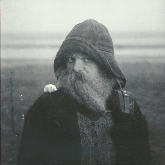 Role Model Hermit - Gatefold Clear Vinyl LP vinyl record cover