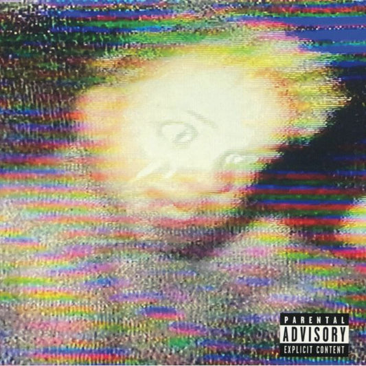 Keep Honking I'm About To Fucking Kill Myself - Vinyl LP vinyl record cover